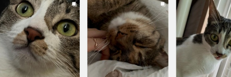 배우 남지현 프로필 비하인드스토리