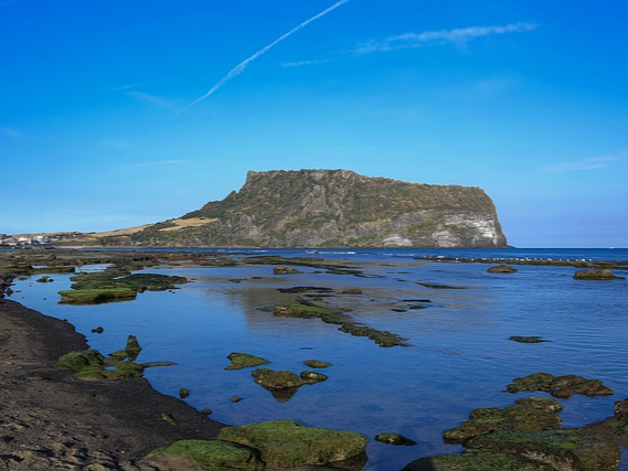 제주도 혼자 여행