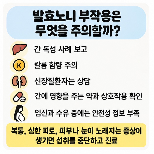 발효노니 섭취 시 간, 신장, 약물 상호작용 주의사항을 정리한 카드뉴스