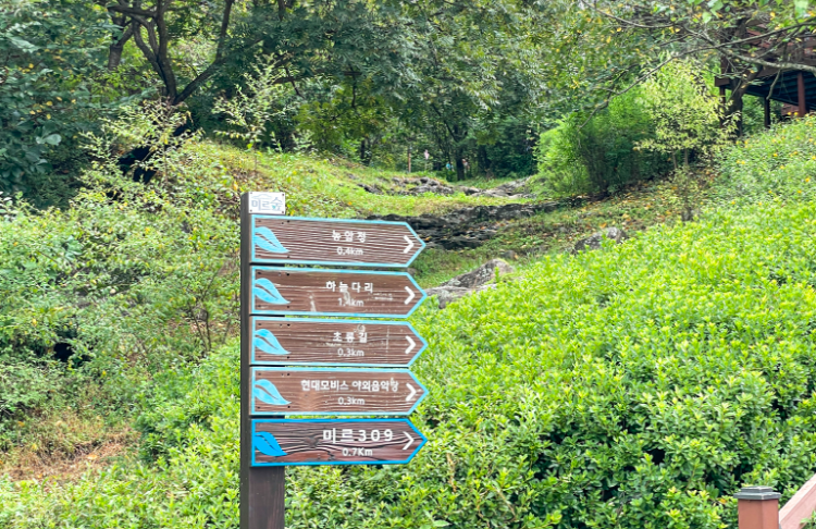 진천 농다리