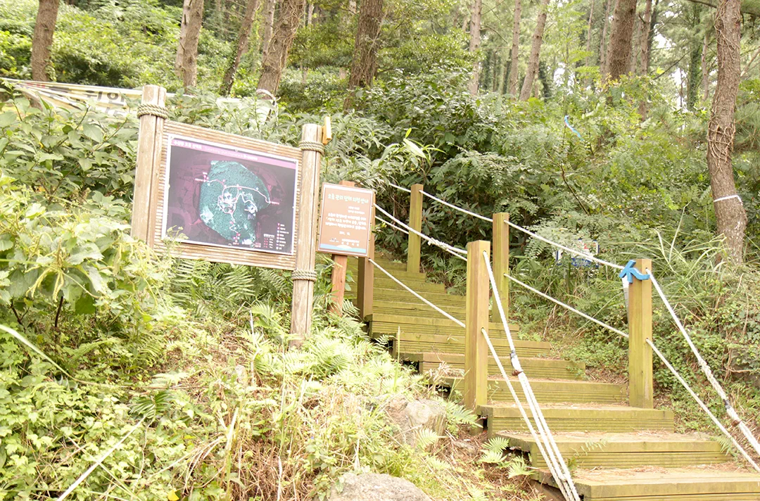 제주 올레길 16코스 고내 - 광령 올레 완주 후기와 상세 코스 안내