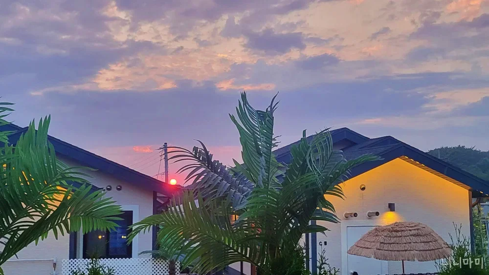 일몰-안면도-홀리독