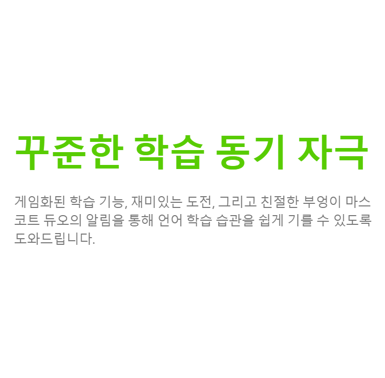 듀오링고 패밀리 가격