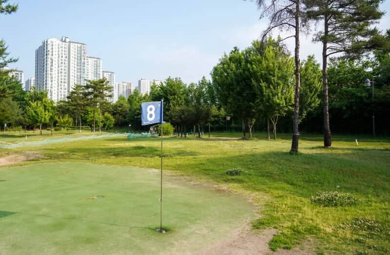 여름 파크골프장 모습