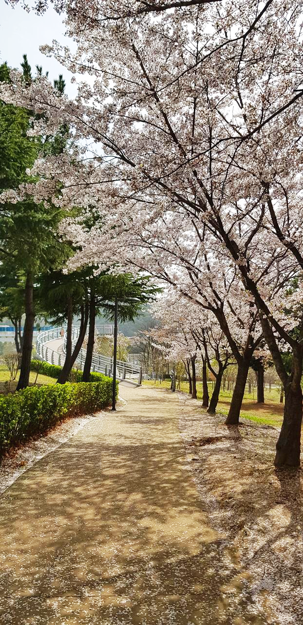 경주보문호물너울공원