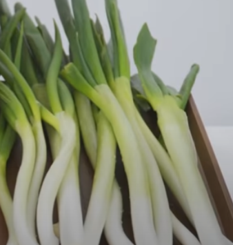 대파보관방법-세척후물기제거