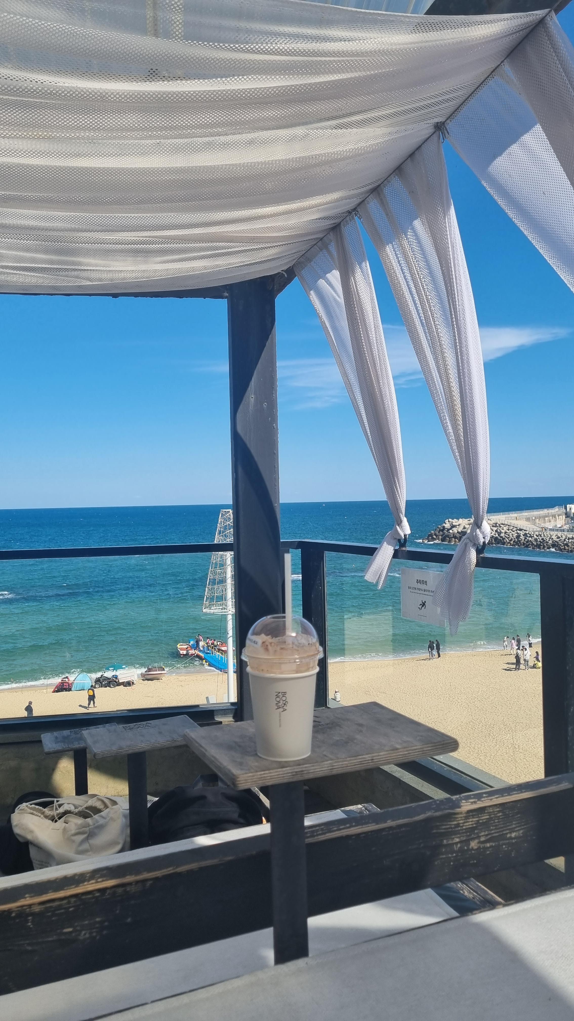 강릉 보사노바 - 카페 거리 카페 추천 애견 카페 안목 해변 가을 여행