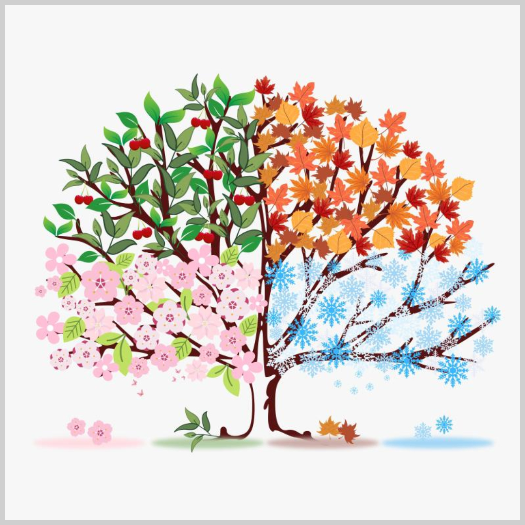 사계절 나무