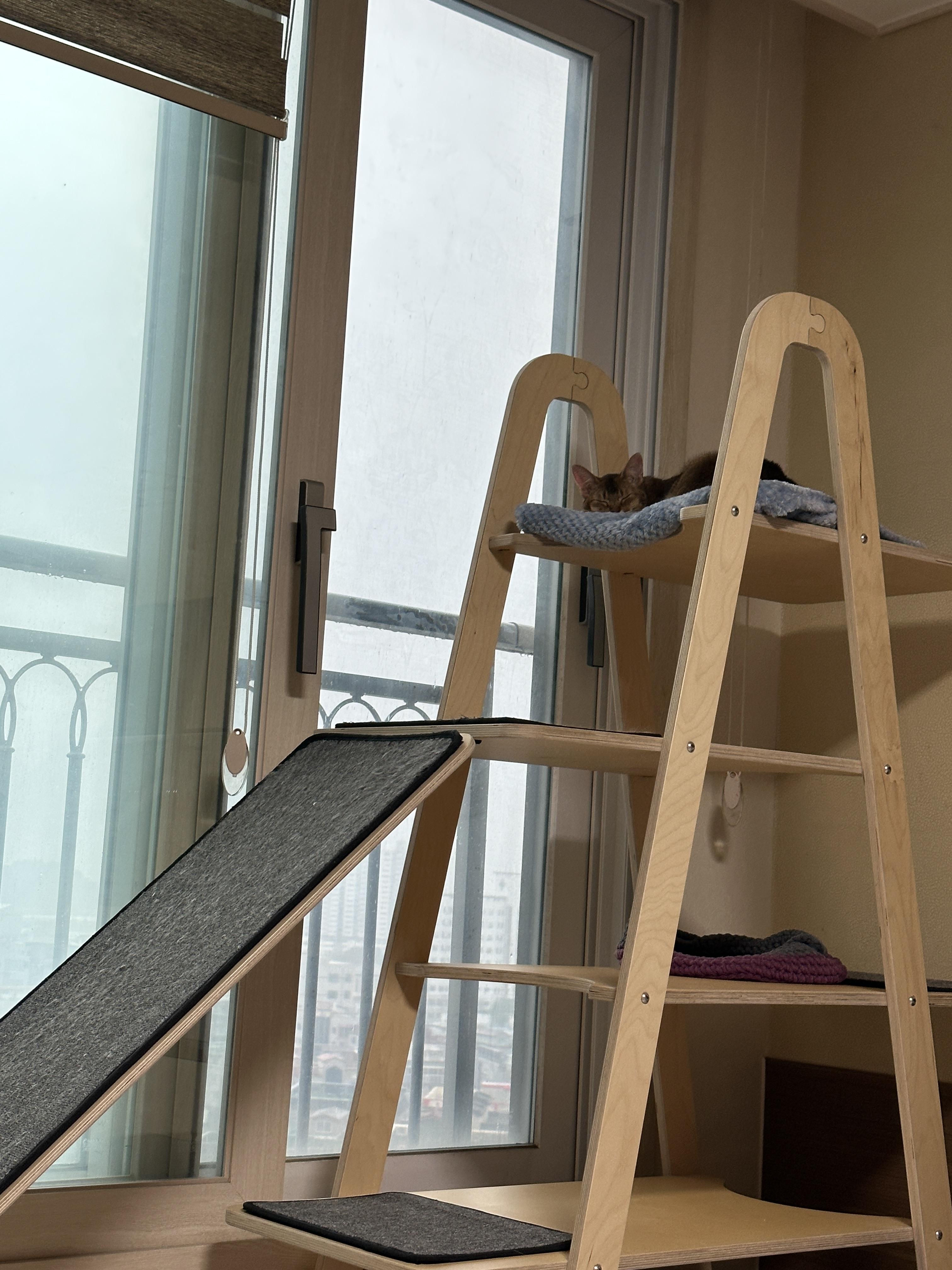 내리는-빗방울-감상할-줄-아는-갬성적인-고양이-루디-(feat.-은근한-질투쟁이-호야)