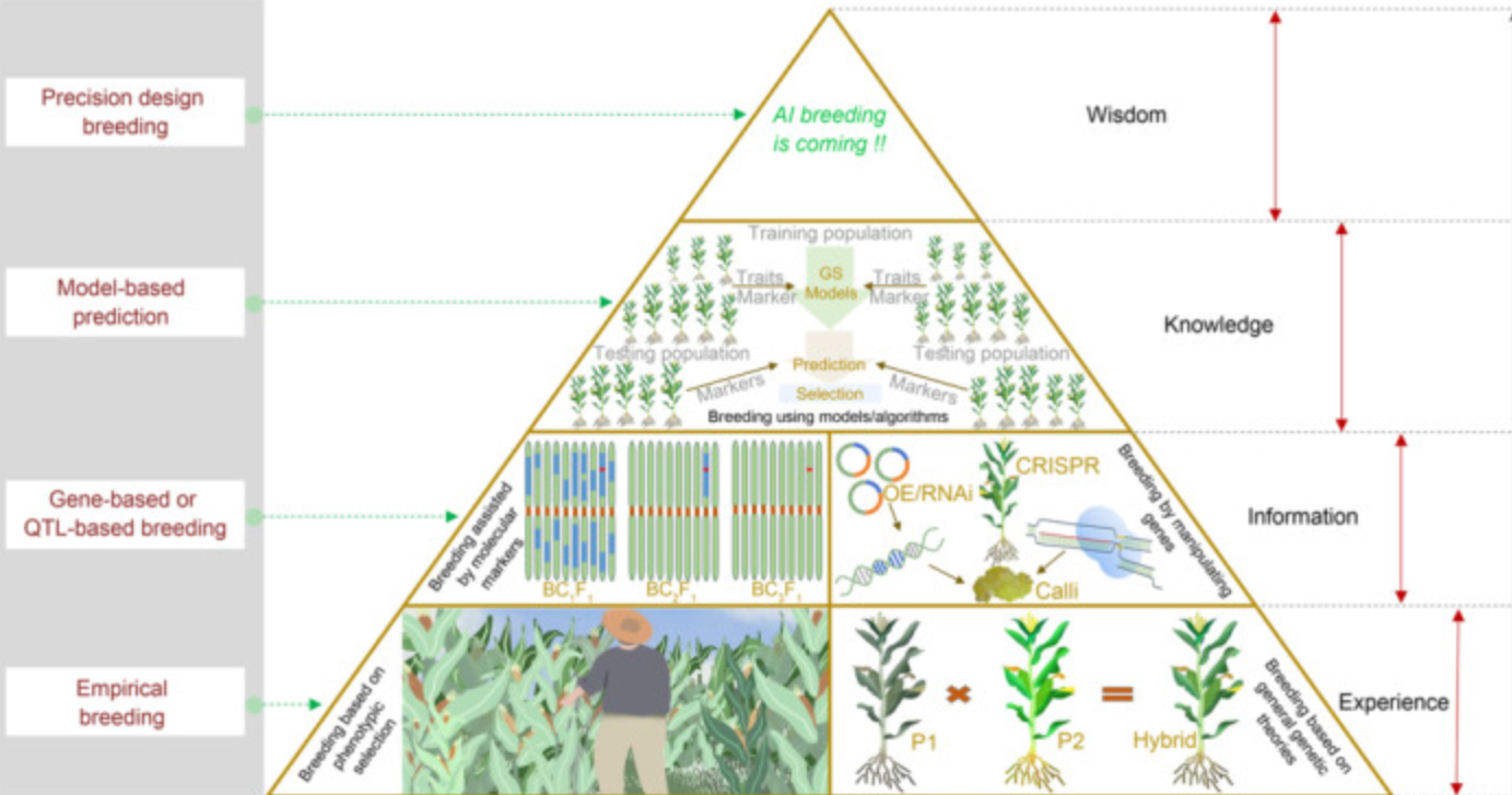 [AI 트렌드] AI는 어디에 쓰이고 있나?(농업편) #1 : 디지털 육종부터 스펙트럴 이미징까지