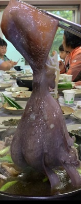 문어영양백숙