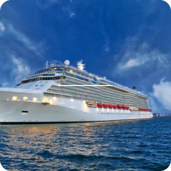 MSC 크루즈 예약 사이트 국내