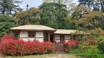 천리포 수목원 목련축제 입장료 여행코스_22