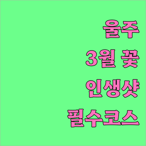 울주 3월 매화와 벚꽃 개화 시기 및..