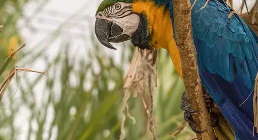 아빠 육아휴직 장려금 신청 방법