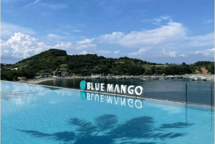 블로망고 대표이미지