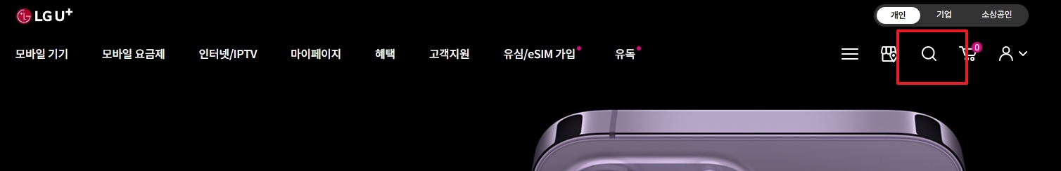 웹사이트 우측 상단 돋보기 아이콘