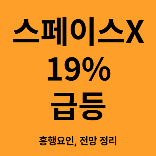 스페이스X 19% 급등