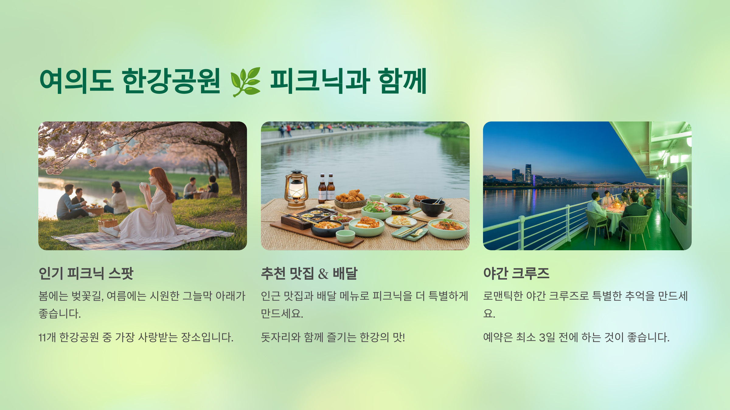 여의도 한강공원 🌿 피크닉과 함께