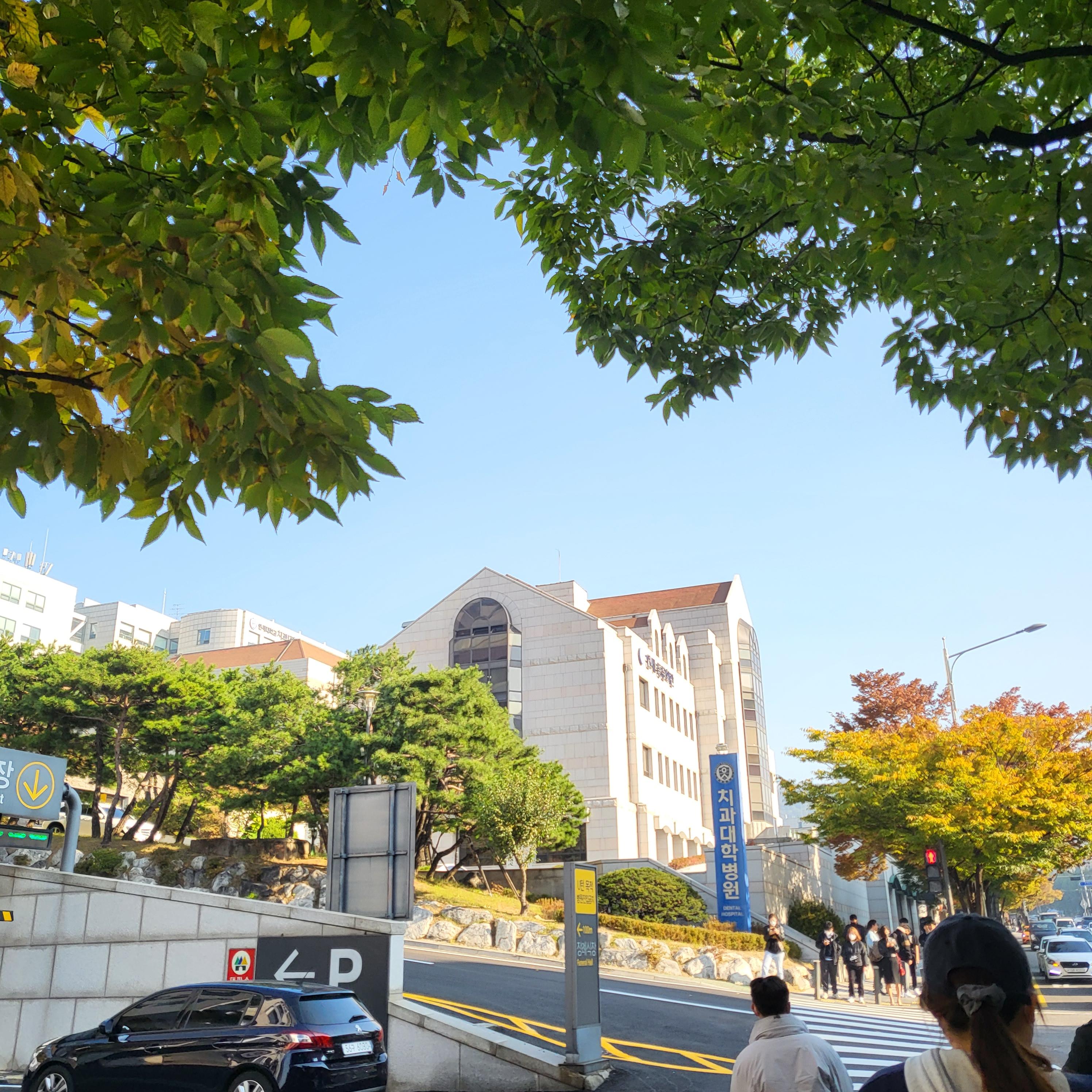 연세대학교 치과대학병원 입구로 가는 길목