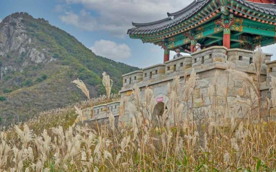 포천 명성산 억새밭 추천 산행 코스