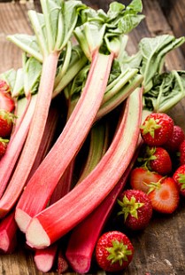 루바브 효능, 갱년기를 책임지는 필수 식품으로 알려져 있습니다.