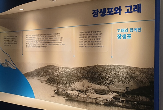 장생포고래박물관