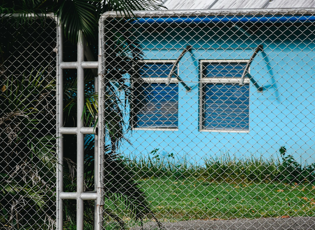 Blue House