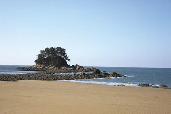 태안 학암포 야영장 캠핑 후기
