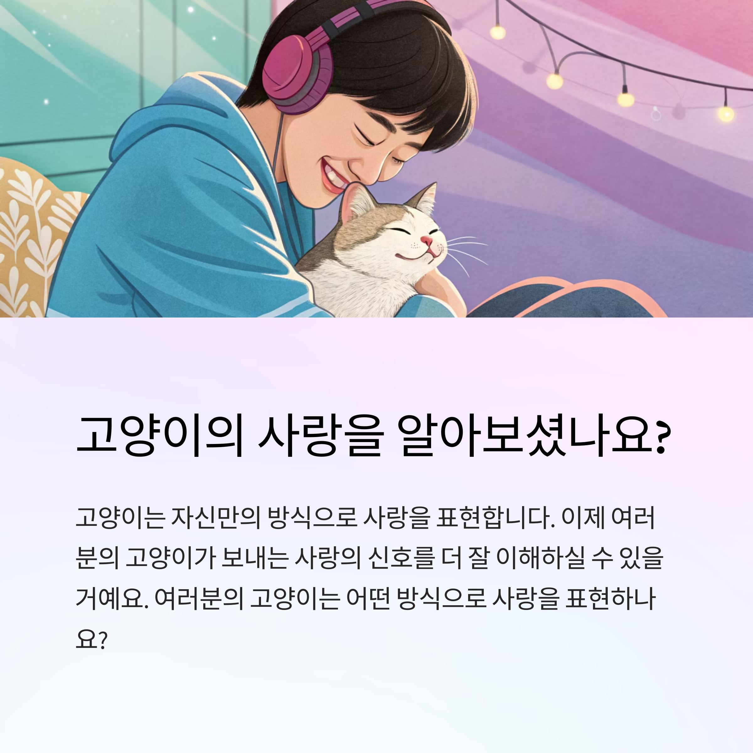 고양이의 사랑을 알아보셨나요?