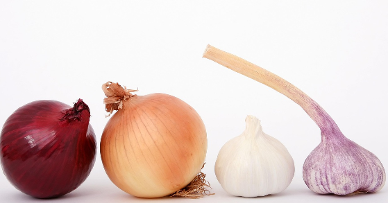 냉장고 속 신선함 지키는 법! 음식 재료 오래 보관하는 꿀팁