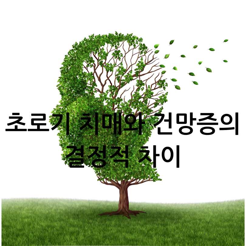 초로기 치매 증상과 자가진단법
