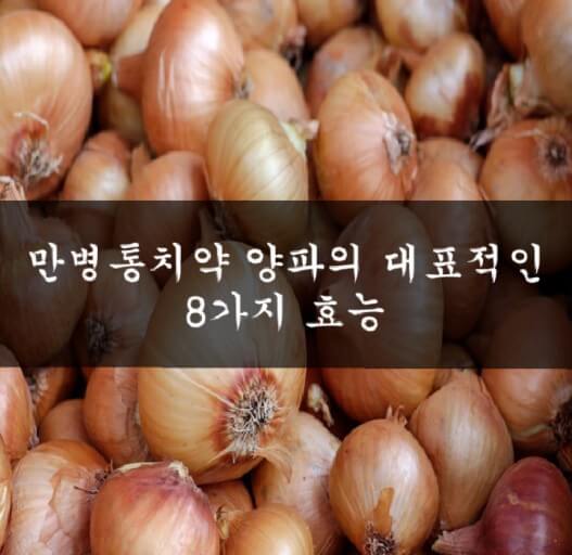양파로 건강 챙김