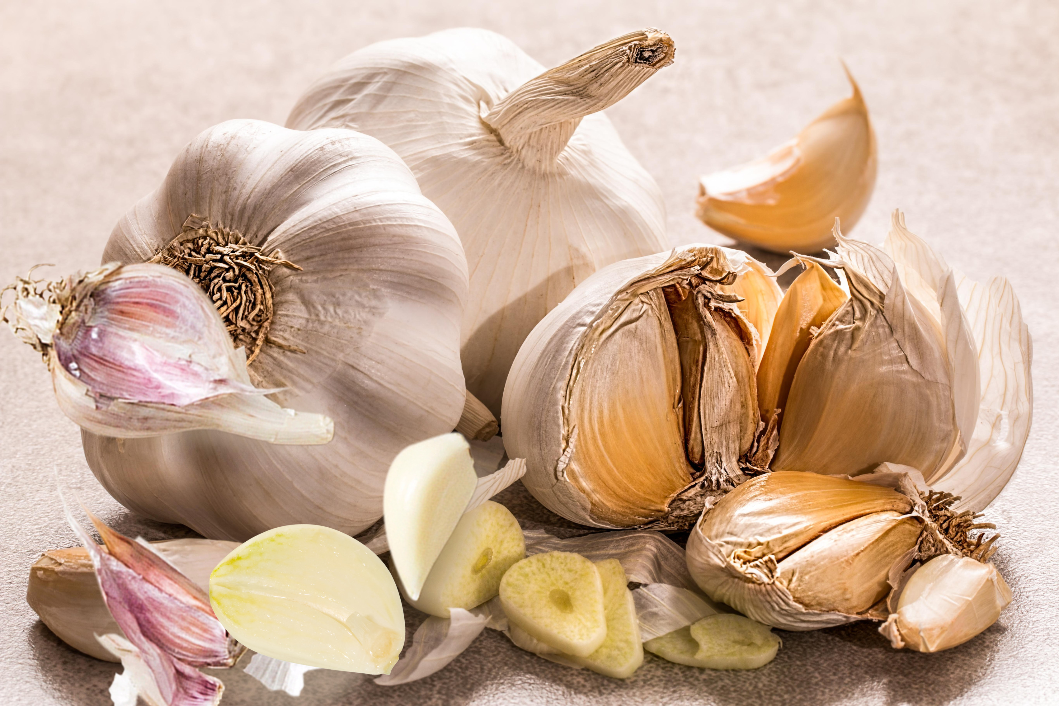 마늘 성분 효능