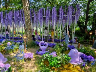 서울국제정원박람회 &amp;#124; 입장표 가는 길 장소 일정 주차