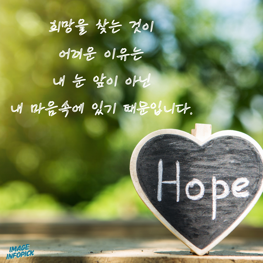 캘리그라피 글귀 모음 좋은 글