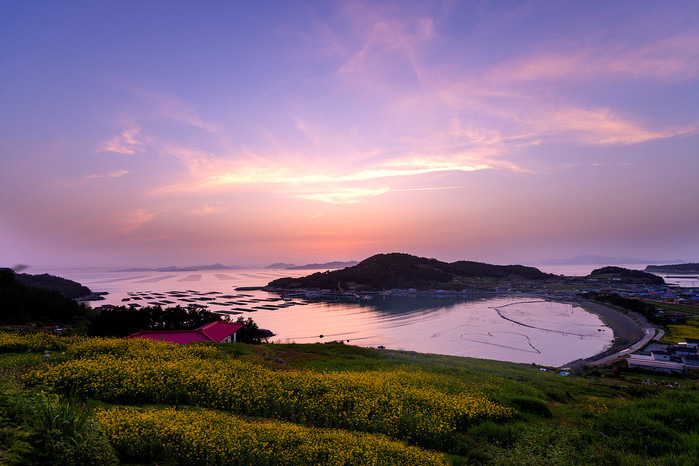 청산도 배시간표 예매