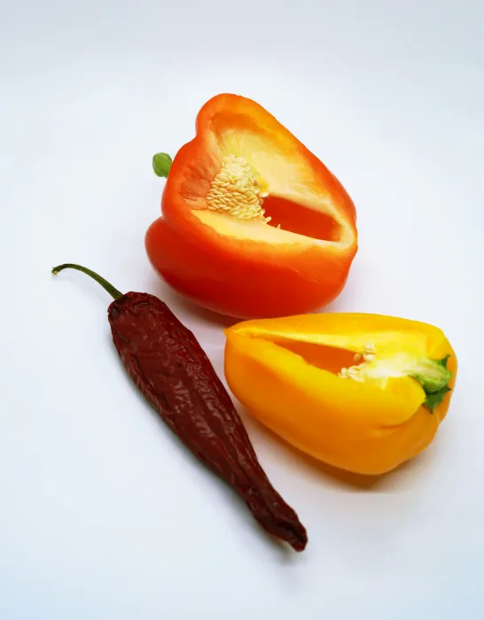 파프리카-사진