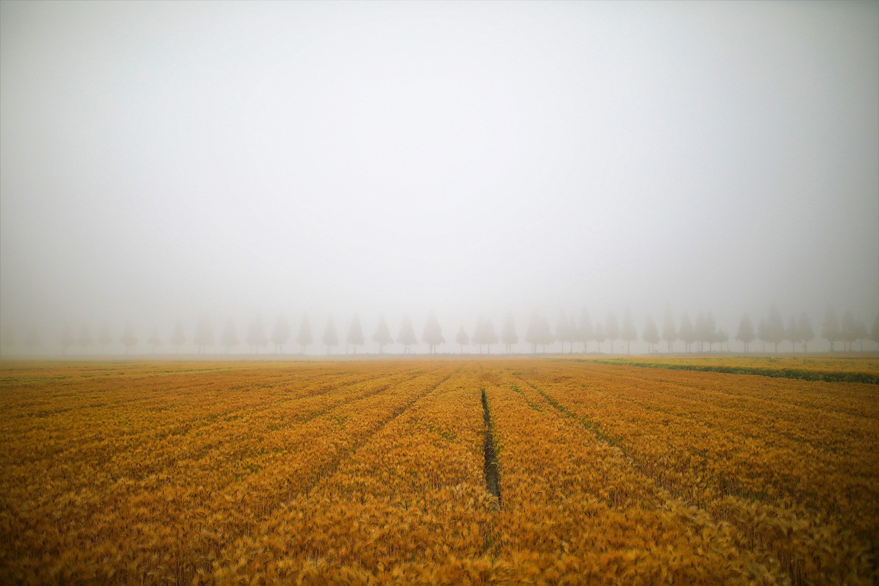 김제 가볼만한곳 추천명소
