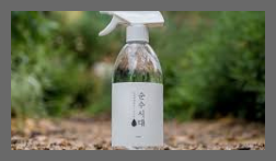 권연벌레 물린자국 퇴치법