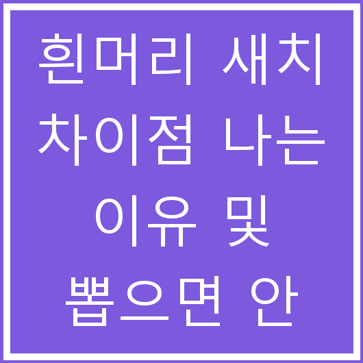 흰머리 새치 차이점 나는 이유 및 뽑으면 안 되는 이유