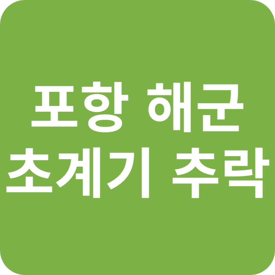포항 해군 초계기 추락 미스터리