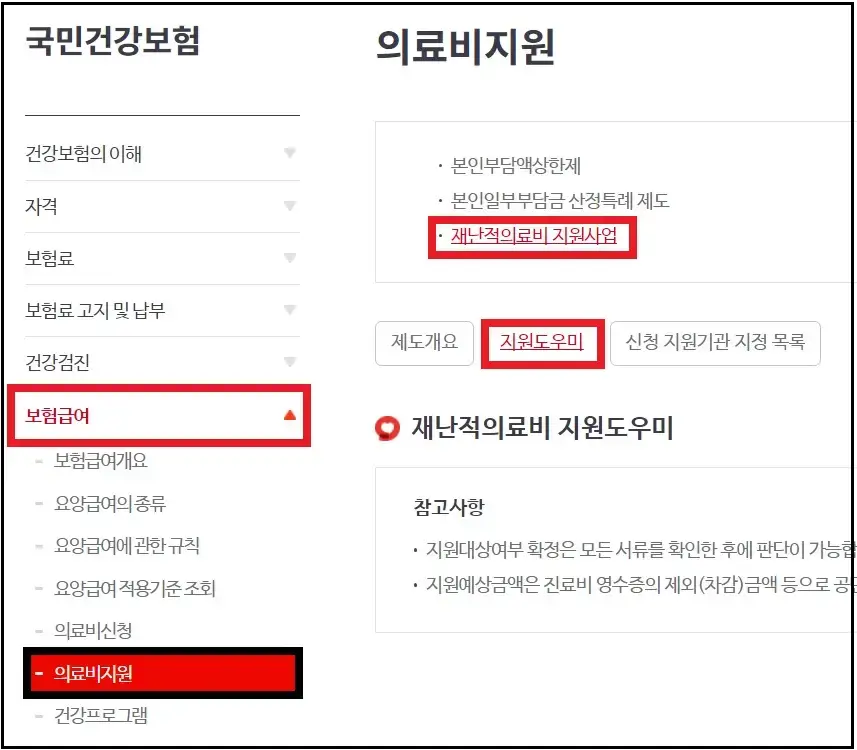재난적 의료비 지원사업