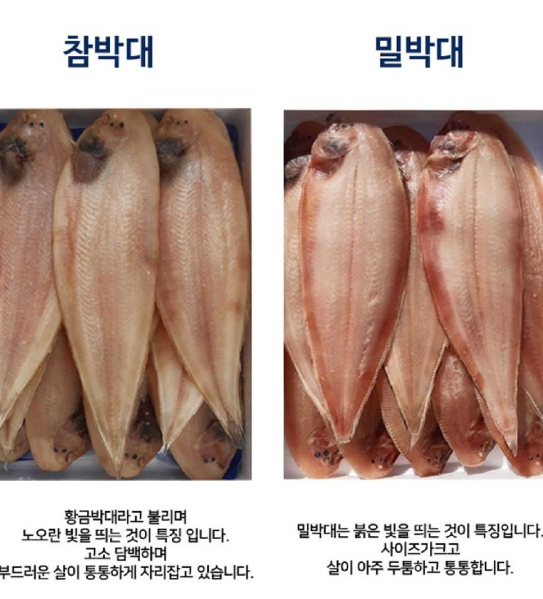 6시내고향-서천-박대-서해안식당