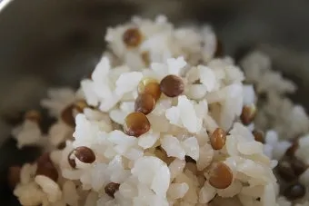 렌틸콩 밥하는 초간단 조리법과 건강 정보_7