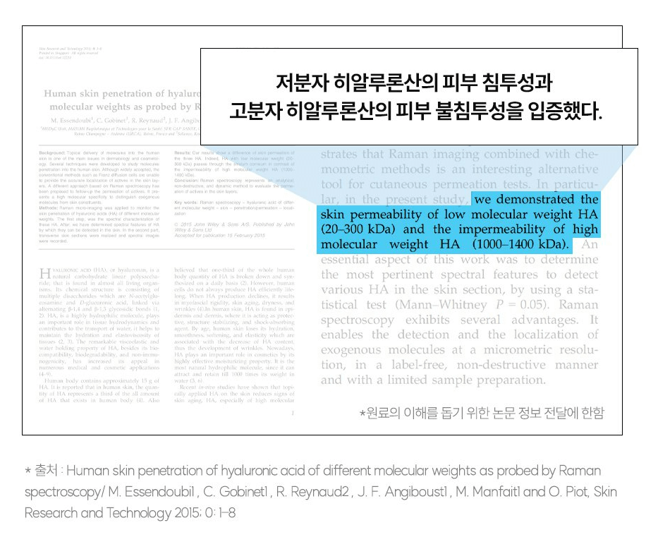 고분자 히알루론산과 저분자 히알루론산 관련 논문