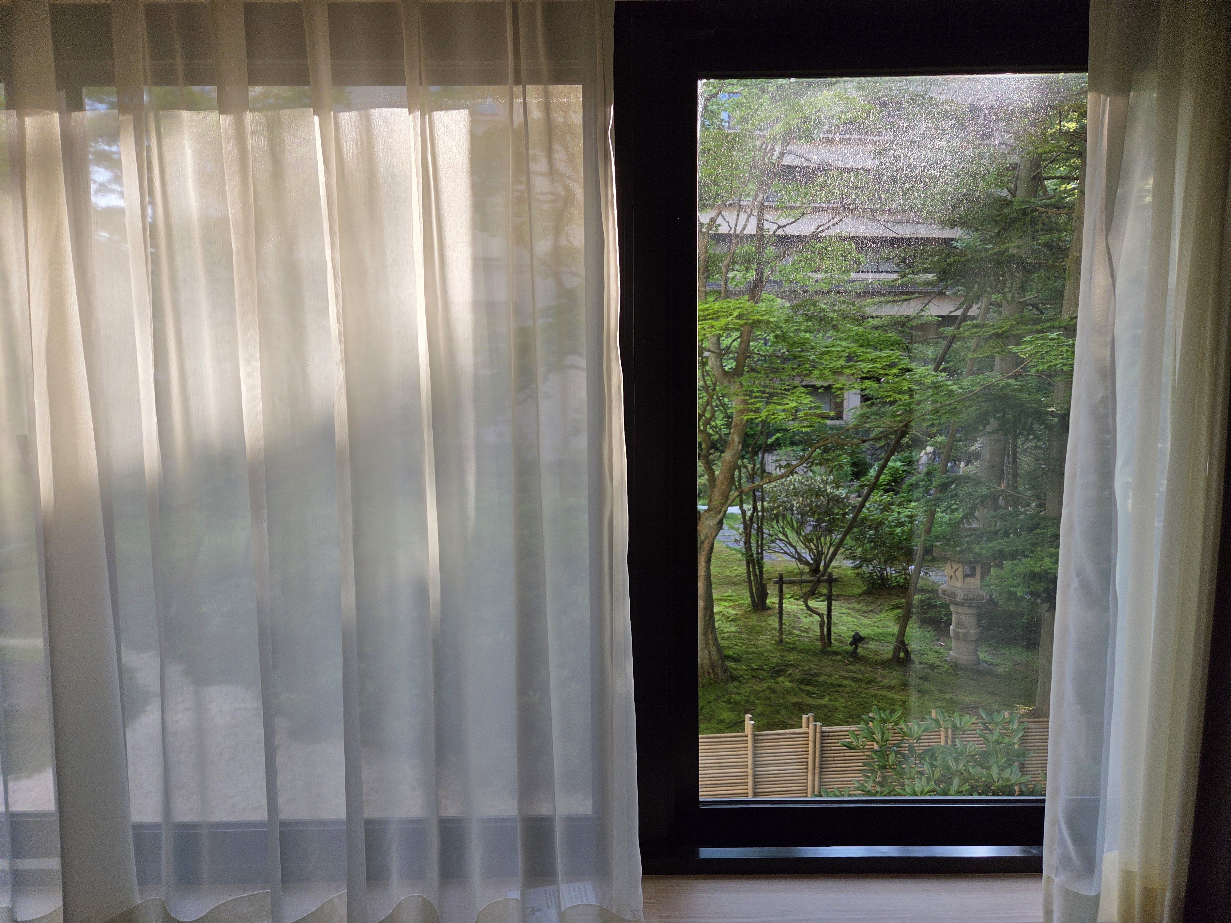 아침빛이 스며드는 커튼과 중정 나무가 보이는 노보리베츠 료칸