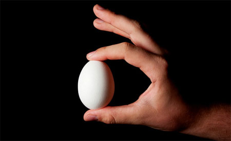 계란과 같이 먹으면 안되는 음식