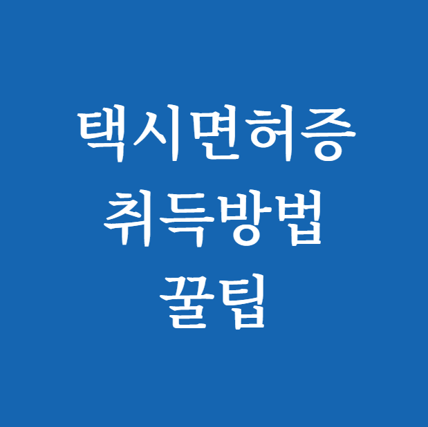 택시면허증 취득방법 꿀팁