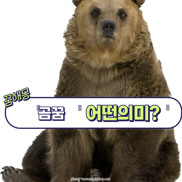🐻봄날 곰 꿈 해몽 20가지 – 힘과 본능의 상징, 당신의 운세는?